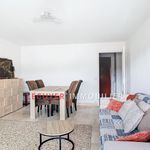 Rent 2 bedroom apartment of 50 m² in Le Cannet