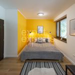 Rent 2 bedroom apartment of 64 m² in Staré Město