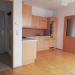 Rent 2 bedroom apartment of 50 m² in Langenzersdorf