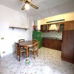 Rent 2 bedroom apartment of 95 m² in Pisa