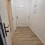Rent 1 bedroom apartment in Brno