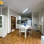 Rent 1 bedroom apartment of 42 m² in Mondovì