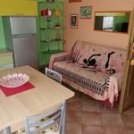 Rent 2 bedroom apartment of 50 m² in Sabaudia