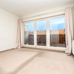 Rent 6 bedroom apartment of 200 m² in Szczecin