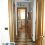 Rent 4 bedroom house of 125 m² in Marsicovetere