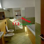 Rent 1 bedroom apartment of 450 m² in Jáchymov