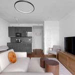 Rent 1 bedroom apartment of 52 m² in frankfurt