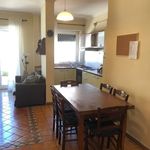 Affitto 4 camera appartamento di 116 m² in Roma