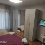 Affitto 1 camera appartamento in Torino
