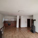 Rent 10 bedroom apartment of 260 m² in Göd