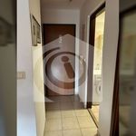 Rent 1 bedroom apartment of 37 m² in Split