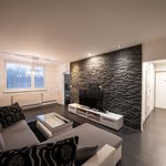 Rent 3 bedroom apartment of 74 m² in Lešany