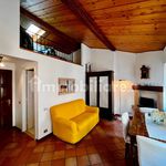 Rent 2 bedroom apartment of 45 m² in Verona