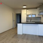 Rent 2 bedroom apartment of 50 m² in Prague