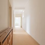 Rent 1 bedroom apartment of 205 m² in Antwerpen