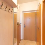 Rent 1 bedroom apartment of 58 m² in Velke Prilepy