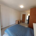 Rent 5 bedroom apartment in Fiumicino