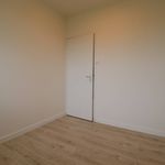 Rent 4 bedroom apartment of 70 m² in Vlaardingen