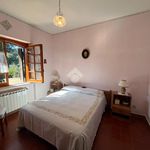 Rent 7 bedroom house of 250 m² in Rocca Priora
