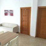 Rent 3 bedroom apartment in Grado