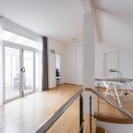 Rent 5 bedroom apartment of 248 m² in Praha