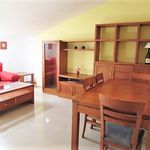 Alquilo 1 dormitorio apartamento de 47 m² en Ajalvir