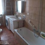Rent 2 bedroom apartment of 60 m² in Lanciano
