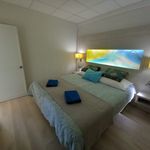 Alquilo 1 dormitorio apartamento de 45 m² en Mogán
