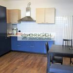 Rent 2 bedroom apartment of 64 m² in Arese