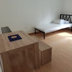 Miete 1 Schlafzimmer wohnung von 18 m² in Pirmasens