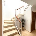 Rent 3 bedroom apartment of 250 m² in Alfarrasí