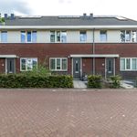 Rent 1 bedroom apartment of 113 m² in Tilburg