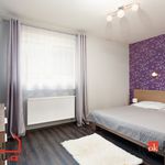 Rent 3 bedroom apartment of 75 m² in Pilsen