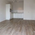 Rent 1 bedroom apartment of 58 m² in Puurs