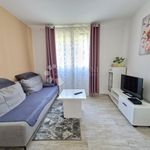 Rent 3 bedroom apartment of 41 m² in Rijeka