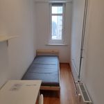 Rent 1 bedroom apartment of 10 m² in Katowice
