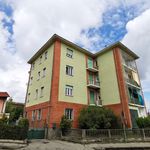 Rent 1 bedroom apartment of 60 m² in Moncalieri