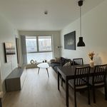 Rent 2 bedroom apartment of 43 m² in Bergen