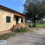 Rent 3 bedroom house of 100 m² in Castagneto Carducci