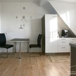 Rent 2 bedroom apartment of 43 m² in Sankt Augustin