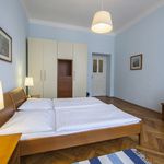 Rent 1 bedroom apartment of 45 m² in Praha 2