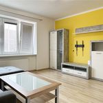 Rent 3 bedroom apartment of 63 m² in Kyjov