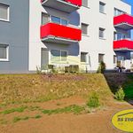 Rent 2 bedroom apartment of 53 m² in Litovel
