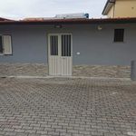 Rent 1 bedroom apartment in Borgia