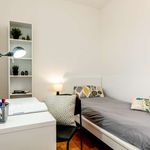 Rent a room of 115 m² in Trento
