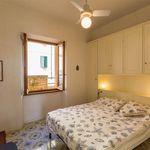 Affitto 3 camera appartamento di 80 m² in Monte Argentario