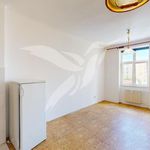Rent 1 bedroom apartment of 26 m² in Plzeň