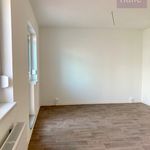 Rent 2 bedroom apartment of 49 m² in Halle (Saale)