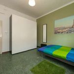 Rent a room in Bologna