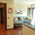 Rent 2 bedroom apartment of 122 m² in Cassina de' Pecchi